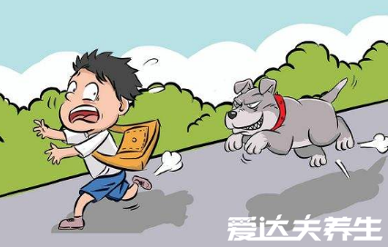 狂犬疫苗多少錢一針，打完狂犬疫苗要注意的4種事項