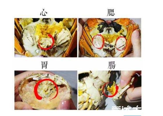 螃蟹蘸料怎么調(diào)好吃，不止是糖醋味還有這4種(全網(wǎng)最全螃蟹蘸料)