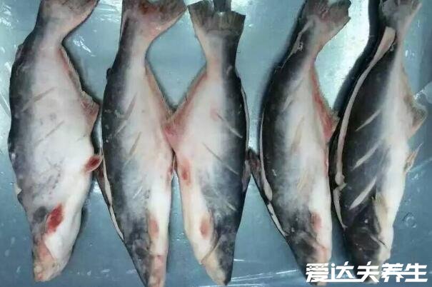 巴沙魚(yú)為什么不能吃，處理干凈的新鮮巴沙魚(yú)可以吃(附挑選方法)