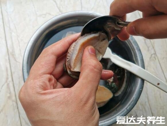 鮑魚的做法及清洗方法，超詳細步驟讓你輕松做出蒜蓉粉絲鮑魚