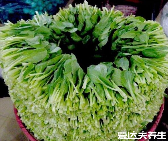 雞毛菜是什么菜，就是小白菜的嫩苗確實好吃(圖片)