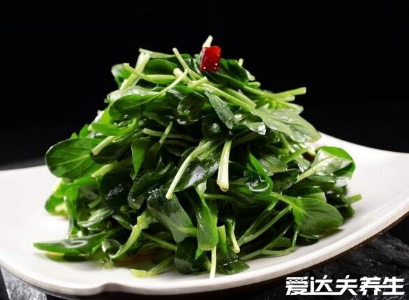 雞毛菜是什么菜，就是小白菜的嫩苗確實好吃(圖片)