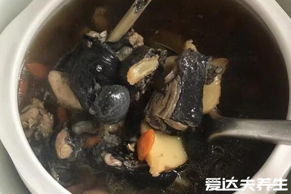 烏雞湯怎么燉最有營養(yǎng)，剛殺的活雞先冷凍再焯水/冷水下鍋(5個(gè)細(xì)節(jié))