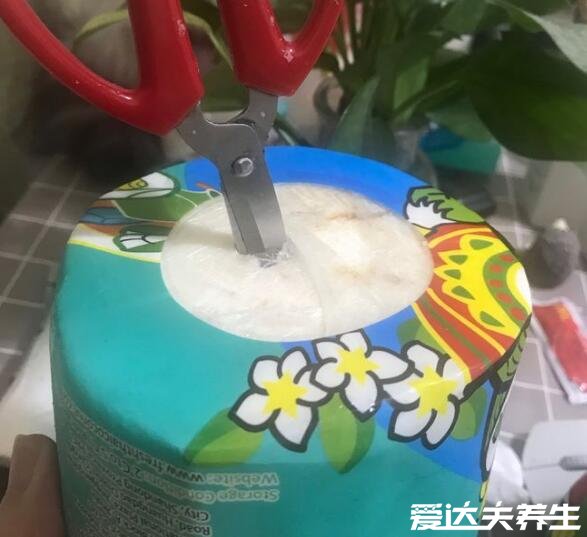 椰子怎么打開怎么吃果肉，不同椰子的多種打開方式圖解