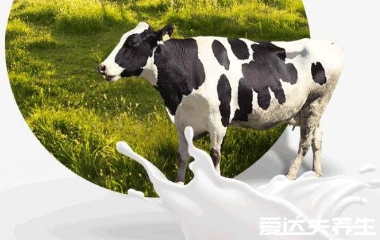 生牛乳是什么意思它與純牛奶有什么區(qū)別，看清這三點(diǎn)千萬別融混