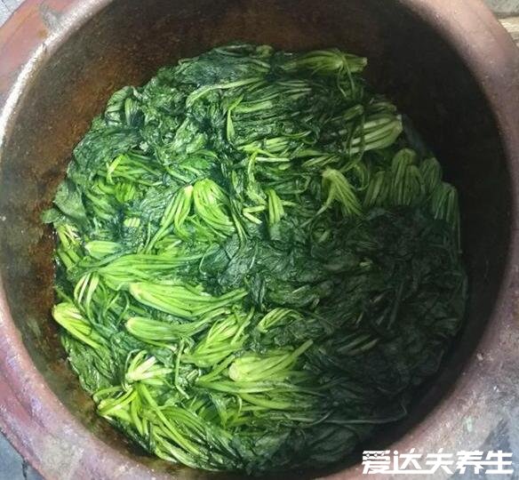 雪菜是什么菜，是芥菜的變種也叫雪里紅(圖片)