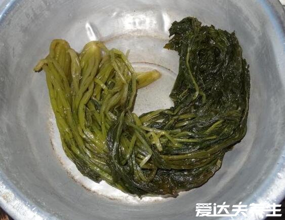 雪菜是什么菜，是芥菜的變種也叫雪里紅(圖片)