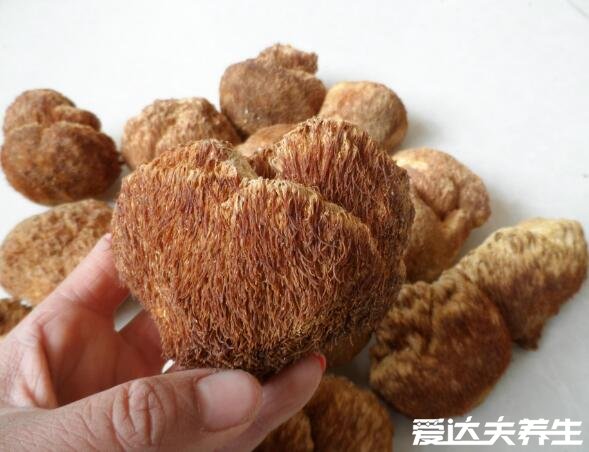 猴頭菇的作用與功效，降三高并保健大腦非常適合老人食用(圖片)