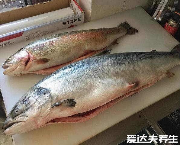 虹鱒魚(yú)和三文魚(yú)的區(qū)別，虹鱒魚(yú)有明顯彩色肉質(zhì)偏紅且松散(圖片)