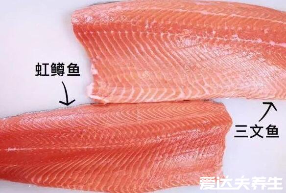 虹鱒魚(yú)和三文魚(yú)的區(qū)別，虹鱒魚(yú)有明顯彩色肉質(zhì)偏紅且松散(圖片)