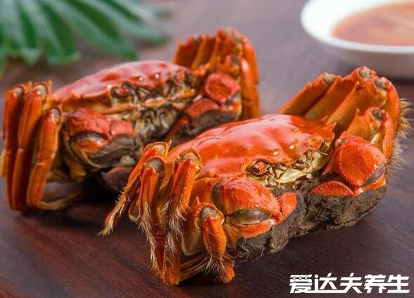 吃柿子的12個禁忌，與高蛋白質(zhì)高淀粉食物同吃都會消化不良