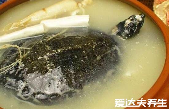 甲魚湯怎么燉補腎效果好，加上鹿茸阿膠一起燉補腎壯陽