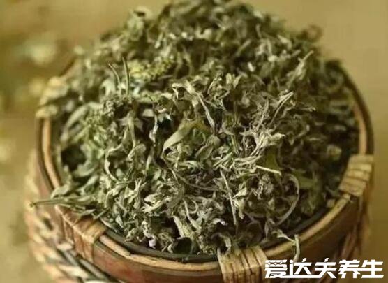 艾草的功效和作用和禁忌，可調(diào)理月經(jīng)/祛濕散寒但陰虛血熱者慎服