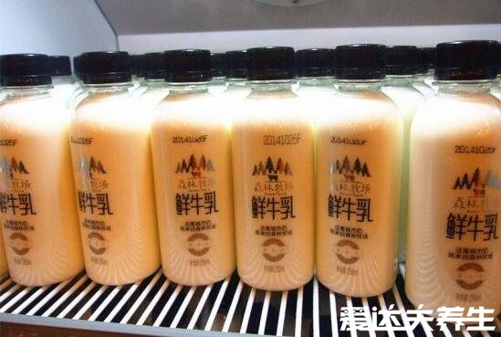 牛乳是什么和鮮牛奶有什么區(qū)別，從制作過程到飲用方式皆不同