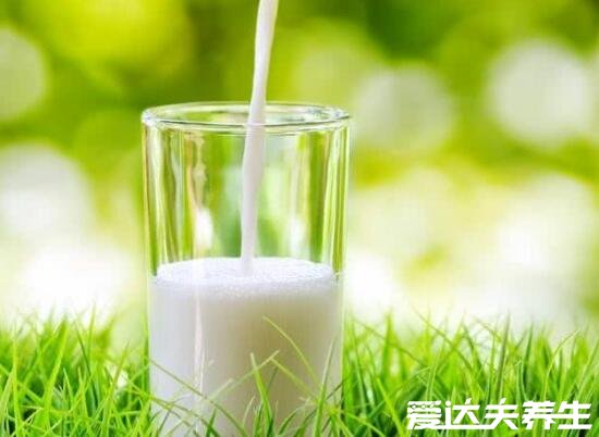 牛乳是什么和鮮牛奶有什么區(qū)別，從制作過程到飲用方式皆不同