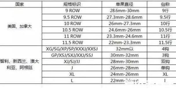 車厘子等級劃分標準，j級是什么意思(26-28mm之間的車厘子)