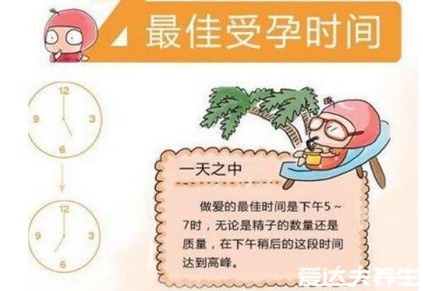 受孕生男孩的三個(gè)最佳時(shí)間點(diǎn)，在女性排卵期內(nèi)選擇最佳時(shí)間及受孕季節(jié)