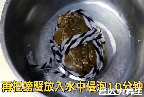 大閘蟹怎么洗才干凈，詳細(xì)洗大閘蟹步驟圖(將大閘蟹醉暈在清洗)