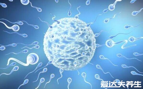 堿性乳白體是什么東西，男性精液呈乳白色弱堿性的簡稱