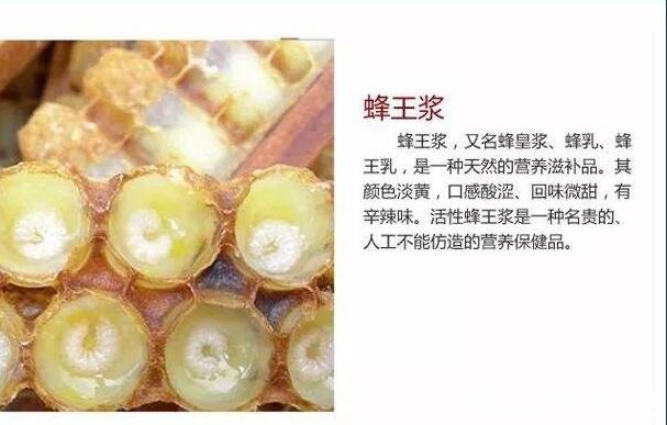 蜂王漿的功效與作用及食用方法，和普通蜂蜜混合食用有4大功效