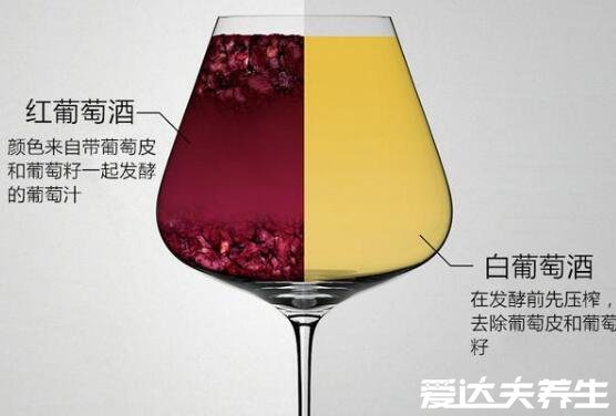 白葡萄酒和紅葡萄酒的區(qū)別，主要為原料和釀造工藝的不同