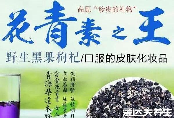 黑枸杞泡水喝的正確方法，400毫升60度以下的溫水泡15粒最佳