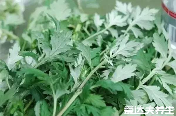 房間熏艾草的危害不大，但長期吸入有致癌風險