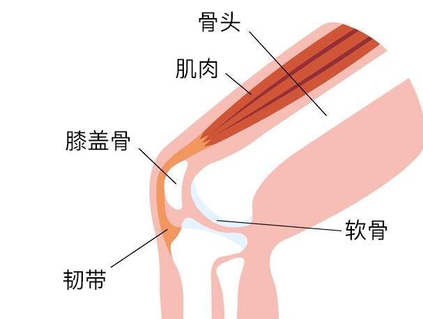 膝蓋各個部位疼痛圖解，不同位置疼痛代表不同疾病(兩側(cè)疼最嚴(yán)重)