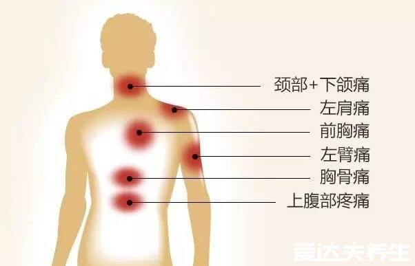 后背疼痛位置圖詳解，后背偏下疼可能是消化系統(tǒng)疾病