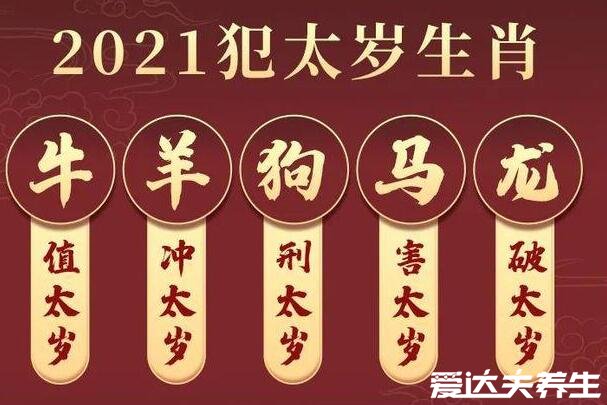 2021年犯太歲最兇的四大生肖，羊馬龍狗生肖的朋友們注意了