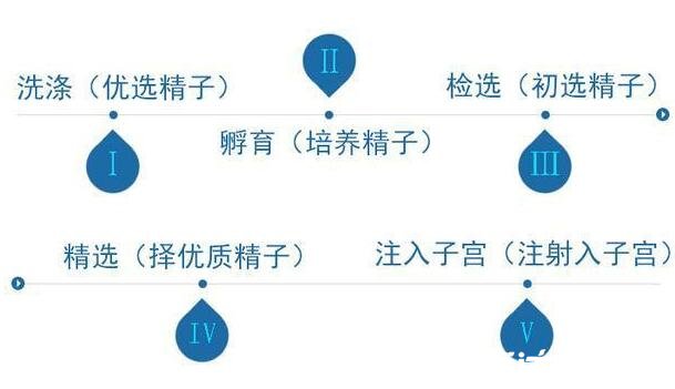 人工授精的過程及成功率，從檢查到驗孕4個過程成功率可達70%