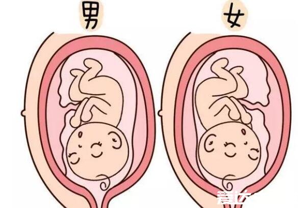 讓你10秒測出懷男孩和女孩，5個方法供大家參考