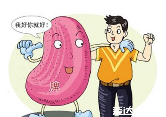 六味地黃丸不適合人群，尤其是腎陽虛患者不能食用