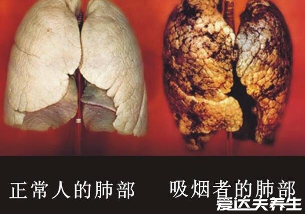 電子煙為什么被全網(wǎng)下架，保護未成年人免受侵害