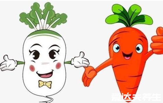 白蘿卜不能和什么一起吃，10大白蘿卜相克食物表(胡蘿卜在其中)