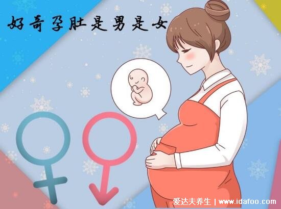 米奇是男寶還是女寶，醫(yī)生的九大暗語告訴你生男生女