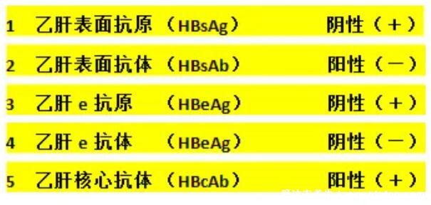 乙肝五項正常結(jié)果圖，一分鐘教你看懂結(jié)果圖