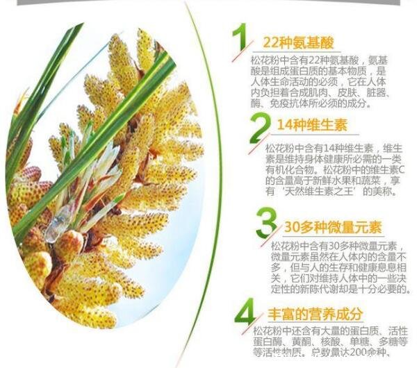 松花粉的功效與作用及食用方法，早晚一次溫水沖服(5大功效)