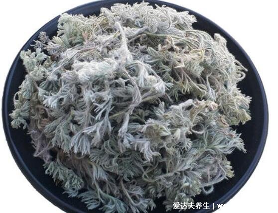 白蒿的功效與作用圖片，可抑菌消炎/預(yù)防膽固醇/保護(hù)肝臟