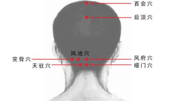 人體九條頭部經(jīng)絡(luò)圖解大全，按摩這些頭部經(jīng)絡(luò)和穴位能改善頭疼