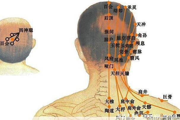 人體九條頭部經(jīng)絡(luò)圖解大全，按摩這些頭部經(jīng)絡(luò)和穴位能改善頭疼