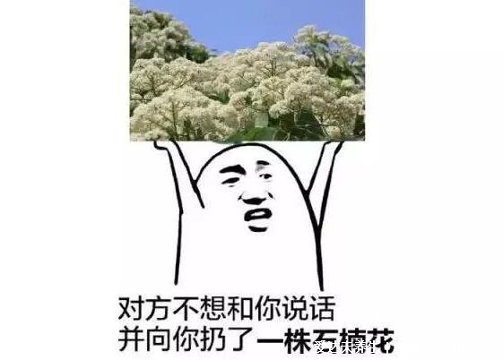 石楠花為什么是精子味，最污的花因為主要成分是三甲氨