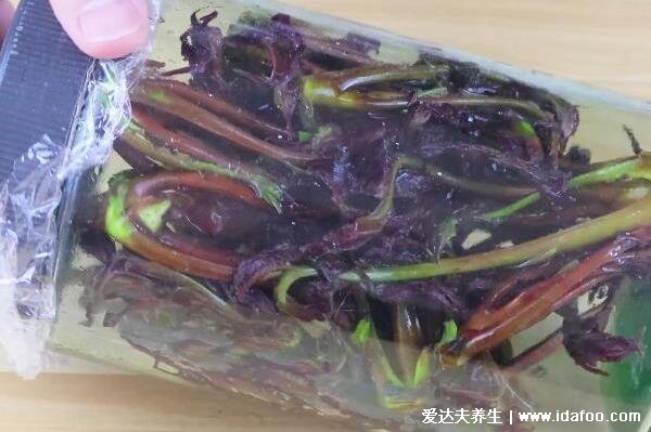 香椿芽怎么保存才新鮮，3種方法從春天放到冬天都沒問題