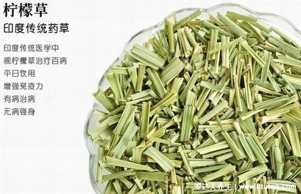 檸檬草茶的功效與作用及禁忌，減肥美白淡斑但有3類人不宜喝