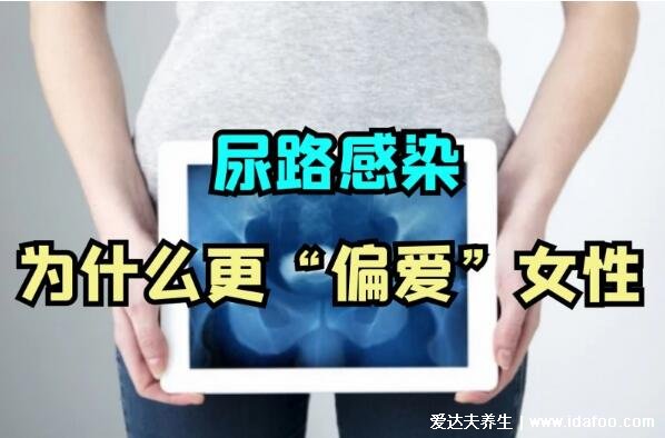 尿路感染的癥狀及原因，尿路感染的治療方法(女性必看)