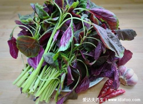 莧菜圖片功效與作用，莧菜的功效與禁忌(補血佳品)