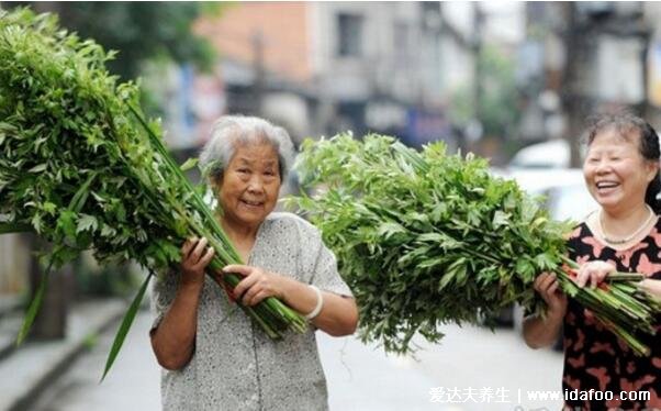 端午節(jié)門上掛艾草寓意什么意思，招百福/驅(qū)鬼辟邪/驅(qū)蟲防病