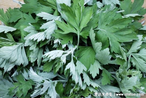 艾蒿圖片和艾草的區(qū)別，同種植物叫法不同(艾草和蒿草的區(qū)別)