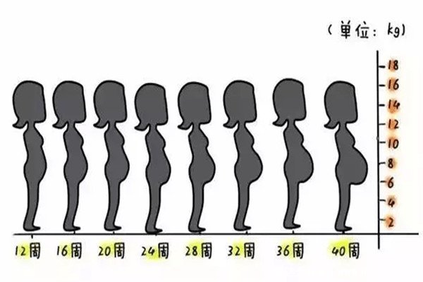 懷孕1一9月肚子變化圖，4月份孕肚明顯隆起