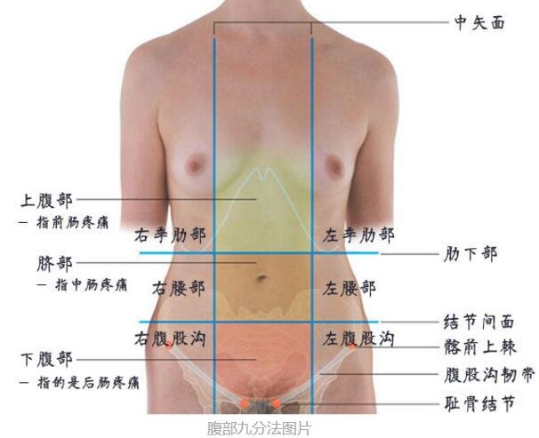 腹部疼痛9位置圖，9個不同部位代表不同疾病(腹部九分法)